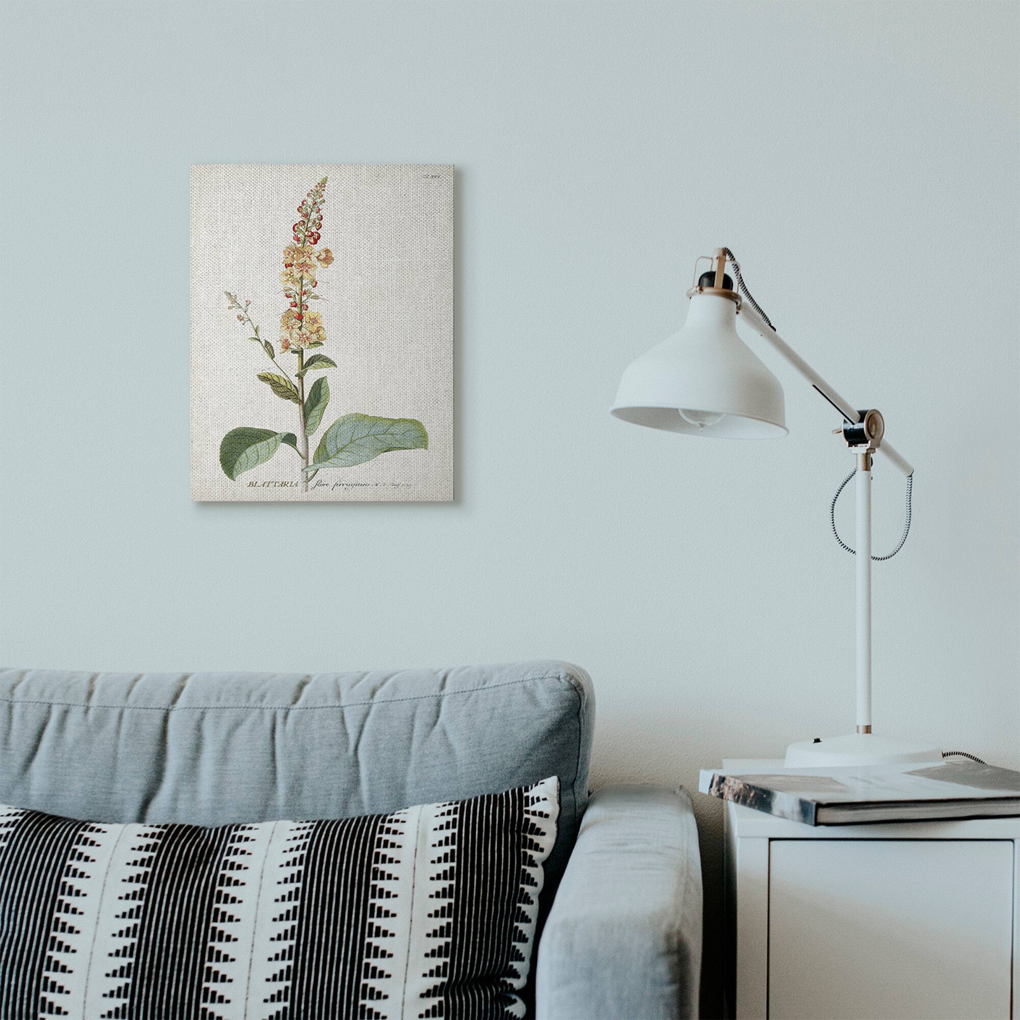 Stupell Industries Botanical Flower Canvas Wall Art